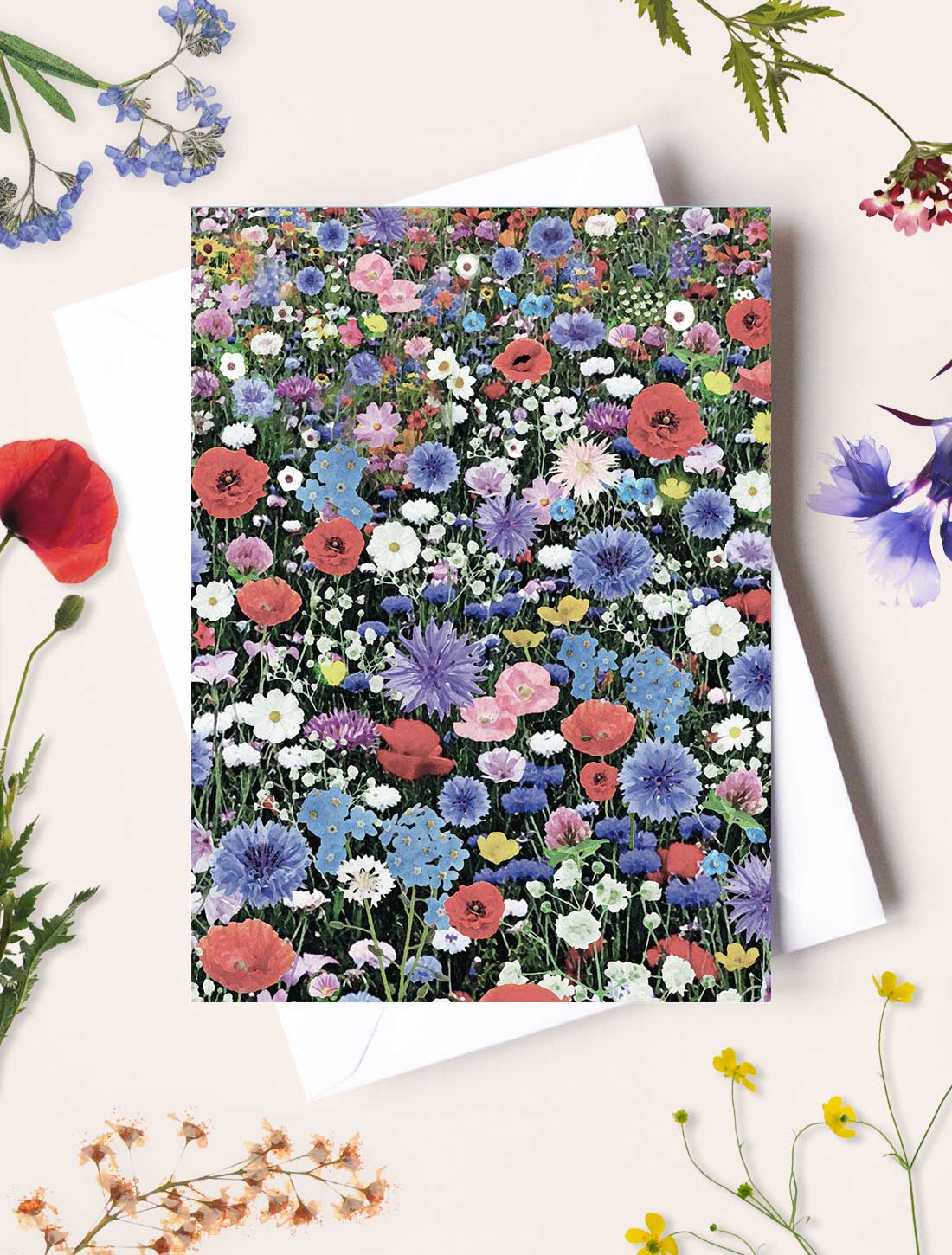 Port Hope/By the Lake (Planterbart frökort) - Bild 2