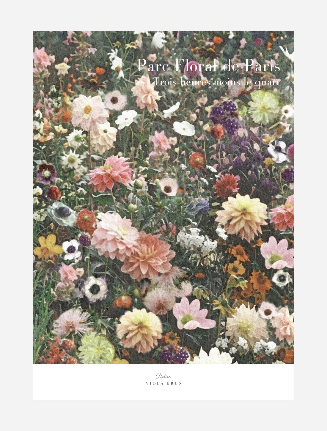 Parc Floral de Paris / Trois heures moins le quart